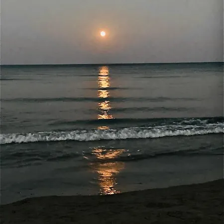 Kareem Flat لارنكا